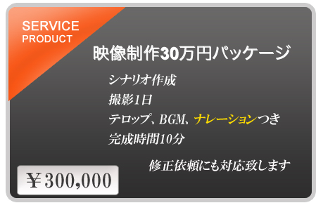 30万円パッケージ